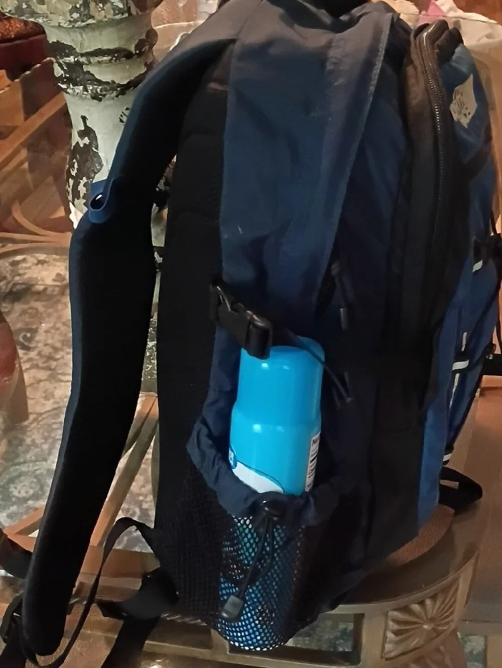 The North Face Unisex Blue Daypack with Bungee Front